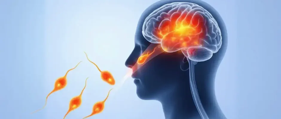 Brain-Eating-Amoeba_direct-pakistan