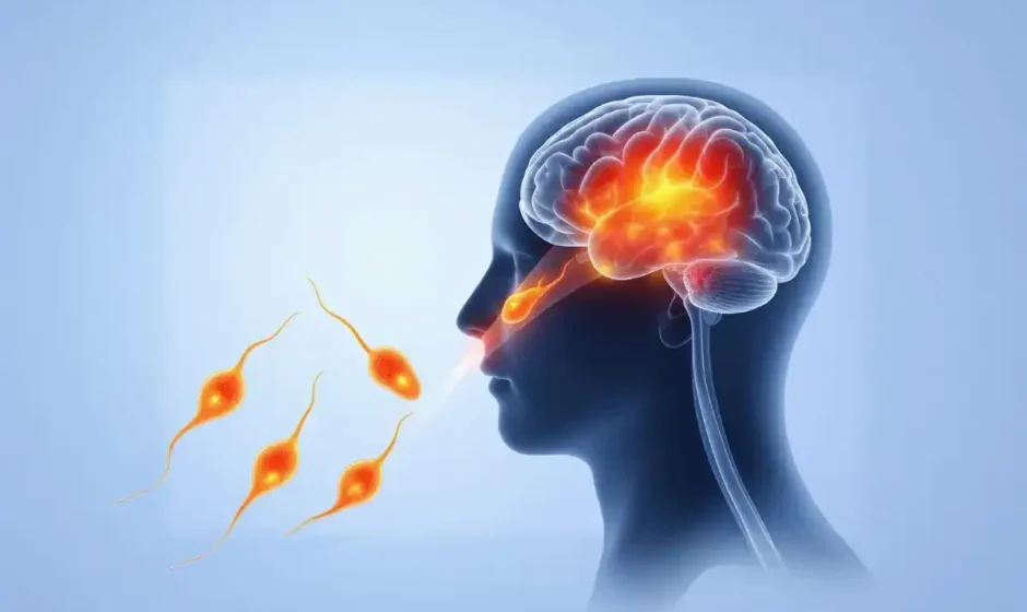 Brain-Eating-Amoeba_direct-pakistan