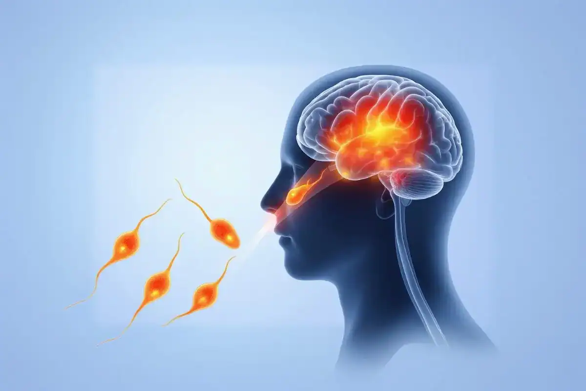 Brain-Eating Amoeba on the Rise in Pakistan & India: Essential Facts, Risks, and Prevention