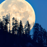 Global Reactions to Israel’s Interception of the Gaza Flotilla